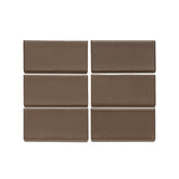 M166 Sample in Fossil