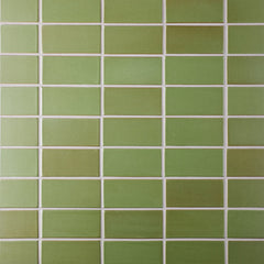 M27 Sample in Olive #3