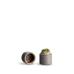 Matchstick Holder in Dawn and Matte Brown