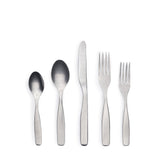Reyes Flatware in Tumbled (5 piece setting)