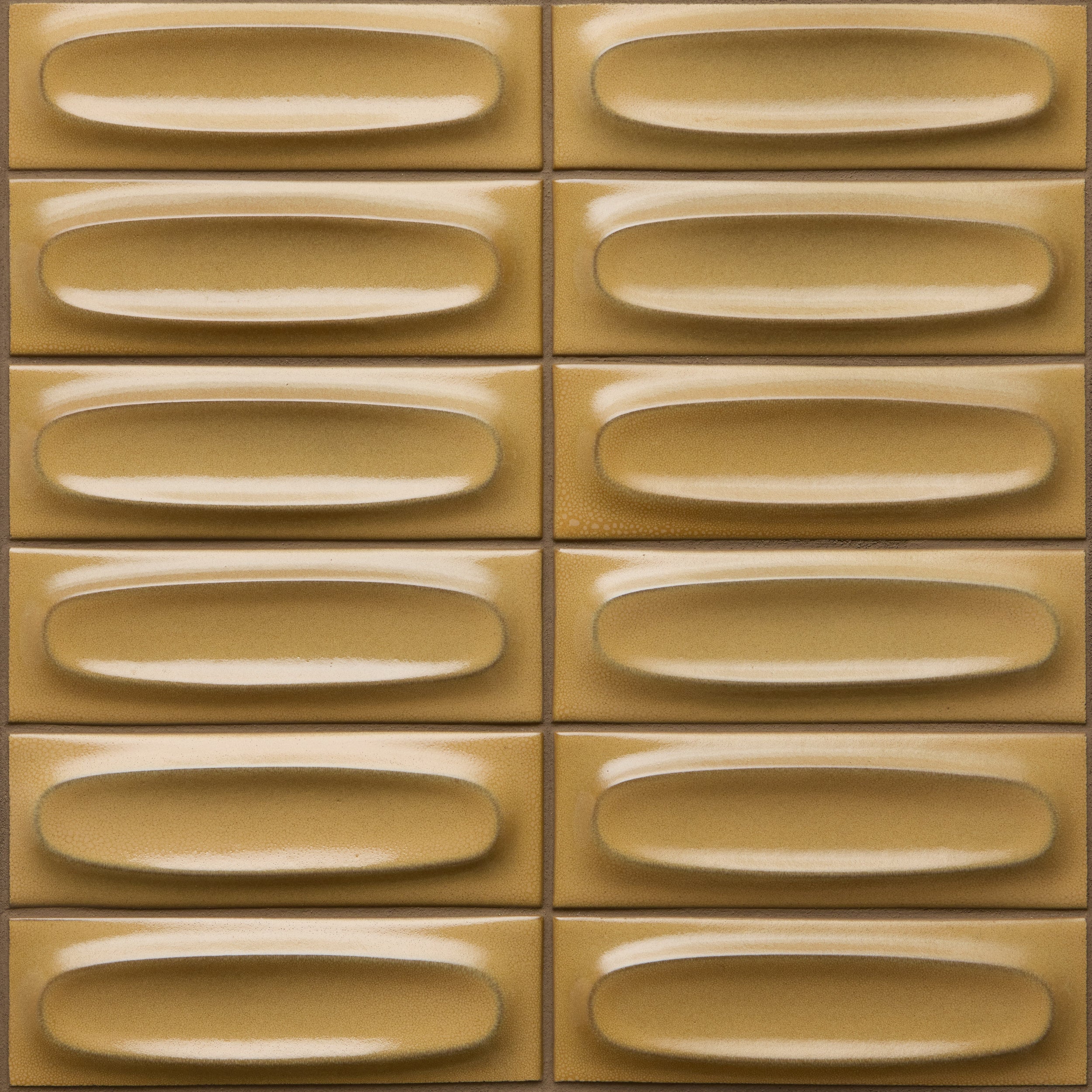 G142 Sample in Mustard Seed