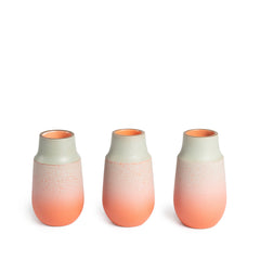 Neck Vase in Fog and Poppy