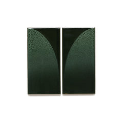 Arc Sample in Chameleon