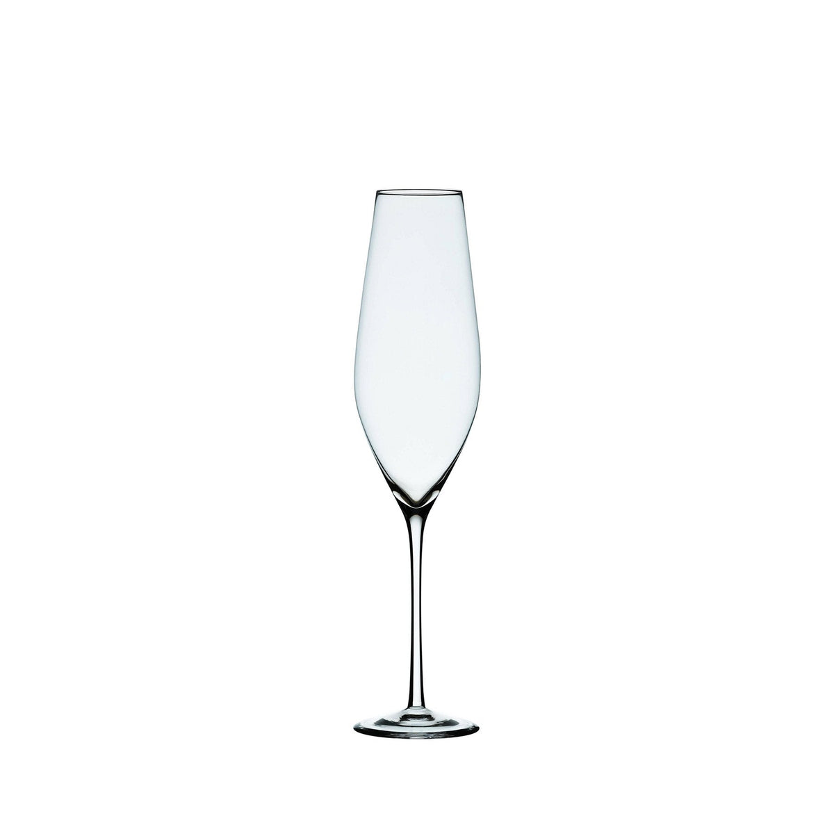 Cabernet Champagne Glass (Set of 6)