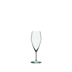 Perfection Champagne Glass (Set of 6)